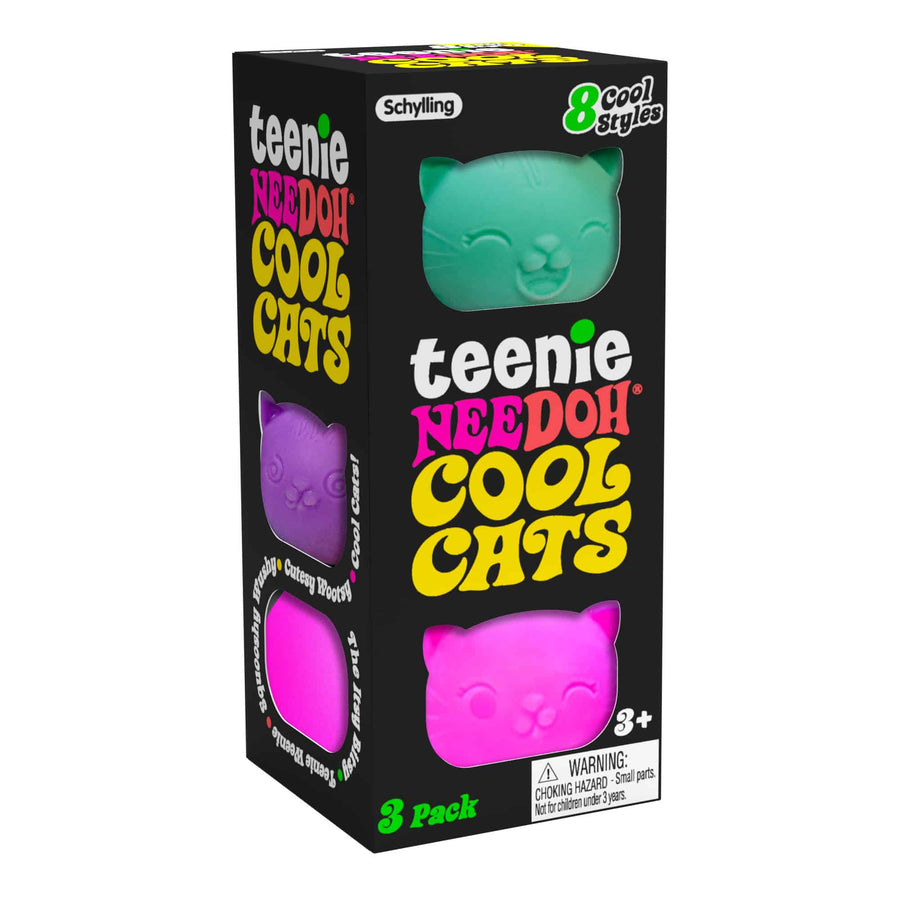 Teenie NeeDoh Cool Cats - Daily Pack